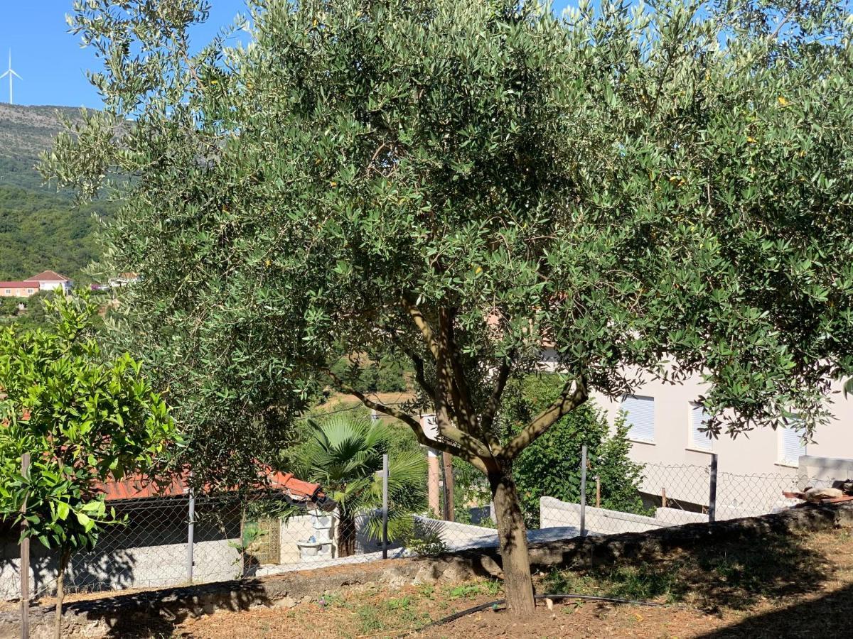 Holiday Home Bratica Ulcinj Exterior foto